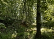 Tract 23 at The Woods on Wayne National Forest property photo
