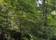 Tract 23 at The Woods on Wayne National Forest property photo