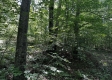 Tract 23 at The Woods on Wayne National Forest property photo