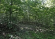 Tract 23 at The Woods on Wayne National Forest property photo