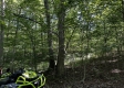 Tract 23 at The Woods on Wayne National Forest property photo