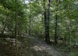 Tract 23 at The Woods on Wayne National Forest property photo