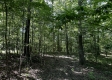 Tract 23 at The Woods on Wayne National Forest property photo