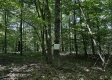 Tract 23 at The Woods on Wayne National Forest property photo