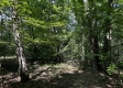 Tract 23 at The Woods on Wayne National Forest property photo