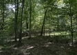 Tract 23 at The Woods on Wayne National Forest property photo