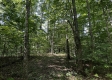 Tract 23 at The Woods on Wayne National Forest property photo