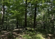 Tract 23 at The Woods on Wayne National Forest property photo