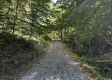 More of Tract 23 at The Woods on Wayne National Forest