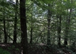 Tract 23 at The Woods on Wayne National Forest property photo