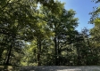 Tract 23 at The Woods on Wayne National Forest property photo