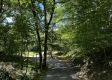 Tract 23 at The Woods on Wayne National Forest property photo