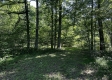More of Tract 23 at The Woods on Wayne National Forest