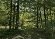 Tract 23 at The Woods on Wayne National Forest property photo