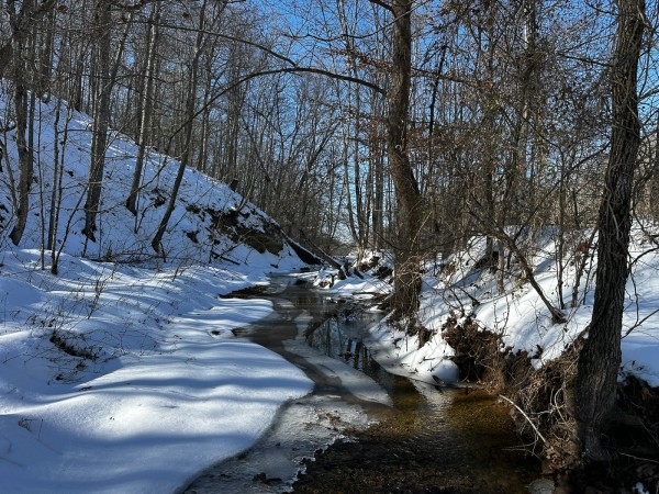 Pigeon Creek Retreat on Woods at Wayne Forest  property photo