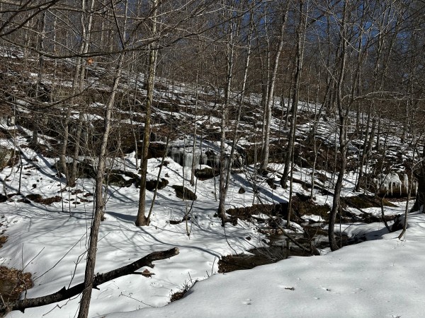 Pigeon Creek Retreat on Woods at Wayne Forest  property photo