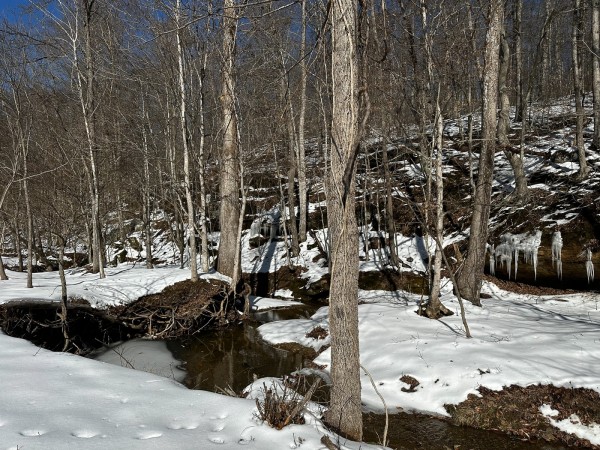 Pigeon Creek Retreat on Woods at Wayne Forest  property photo
