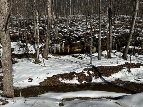 Pigeon Creek Retreat on Woods at Wayne Forest  property photo