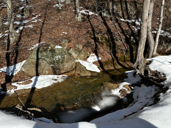 Pigeon Creek Retreat on Woods at Wayne Forest  property photo