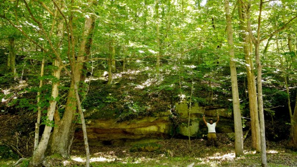 More of Pigeon Creek Retreat on Woods at Wayne Forest 