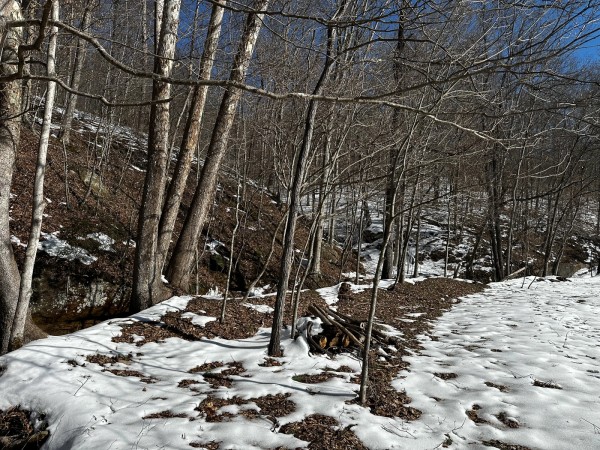 Pigeon Creek Retreat on Woods at Wayne Forest  property photo