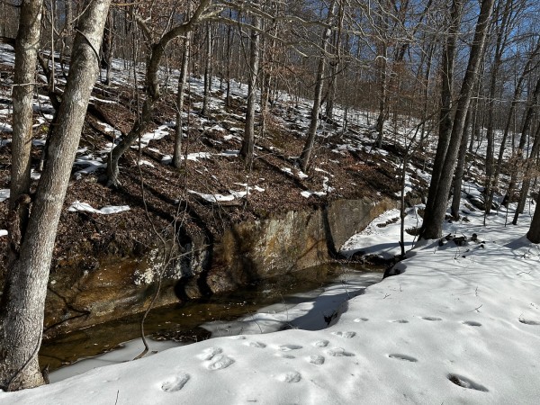 Pigeon Creek Retreat on Woods at Wayne Forest  property photo