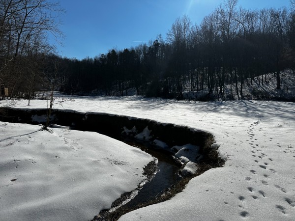 Pigeon Creek Retreat on Woods at Wayne Forest  property photo
