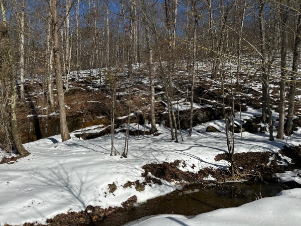 Pigeon Creek Retreat on Woods at Wayne Forest  property photo