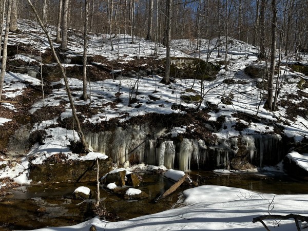 Pigeon Creek Retreat on Woods at Wayne Forest  property photo