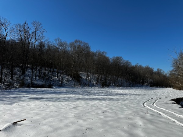 Pigeon Creek Retreat on Woods at Wayne Forest  property photo