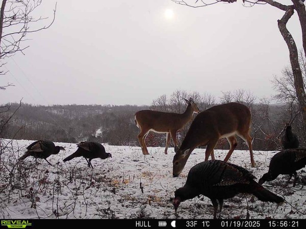 Pigeon Creek Retreat on Woods at Wayne Forest  property photo