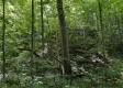 The Barns and Caves on Wayne National Forest property photo