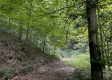 The Barns and Caves on Wayne National Forest property photo