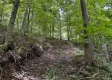 The Barns and Caves on Wayne National Forest property photo