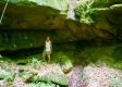 The Barns and Caves on Wayne National Forest property photo