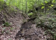 The Barns and Caves on Wayne National Forest property photo