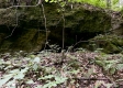 The Barns and Caves on Wayne National Forest property photo