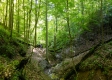 The Barns and Caves on Wayne National Forest property photo