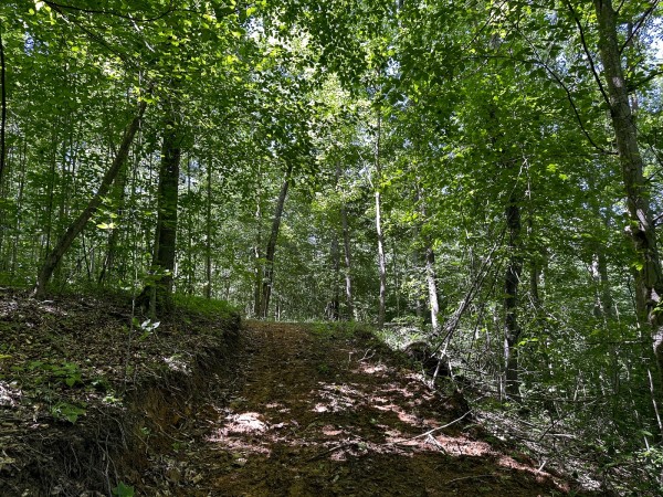 Tract 4 at The Woods on Wayne National Forest property photo