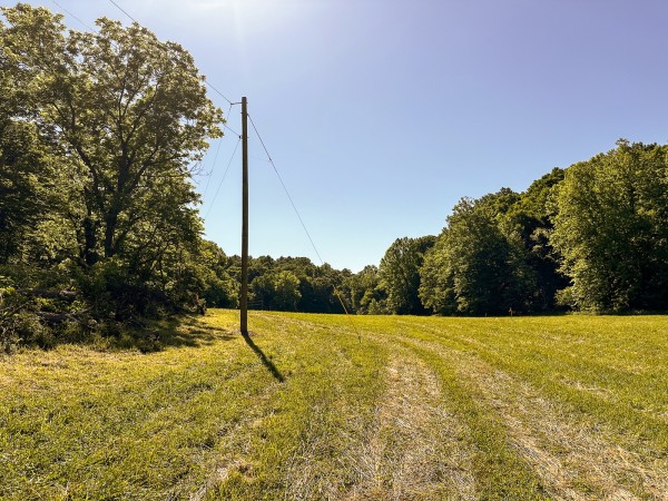 Tract 4 at The Woods on Wayne National Forest property photo