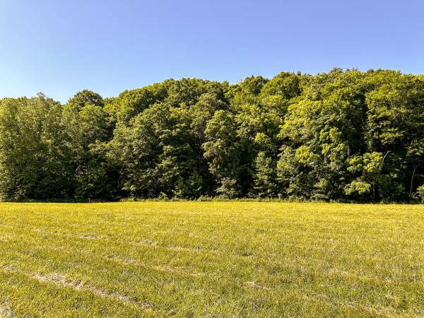 Tract 4 at The Woods on Wayne National Forest property photo