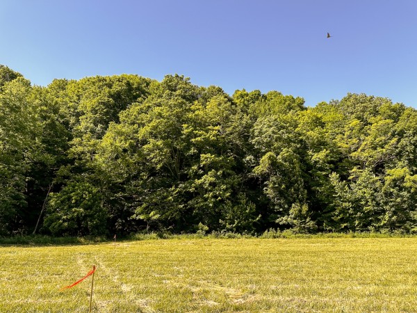 Tract 4 at The Woods on Wayne National Forest property photo