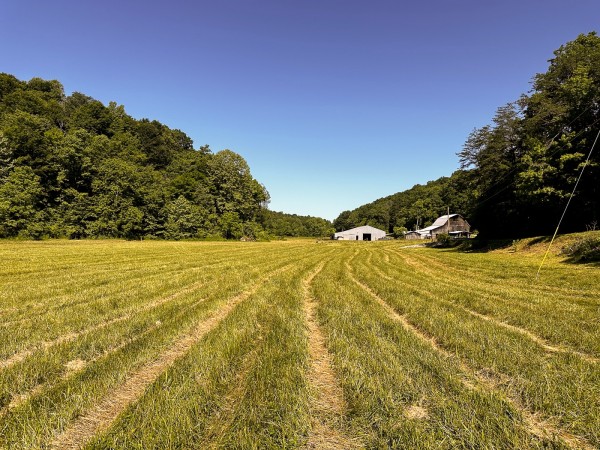 Tract 4 at The Woods on Wayne National Forest property photo