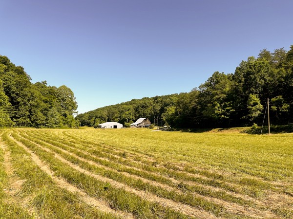Tract 4 at The Woods on Wayne National Forest property photo