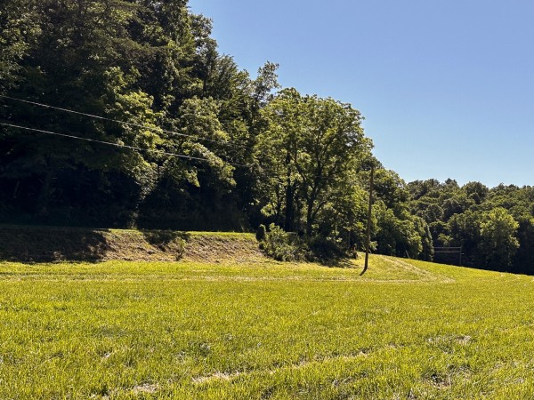 Tract 4 at The Woods on Wayne National Forest property photo