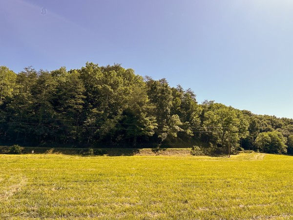 Tract 4 at The Woods on Wayne National Forest property photo