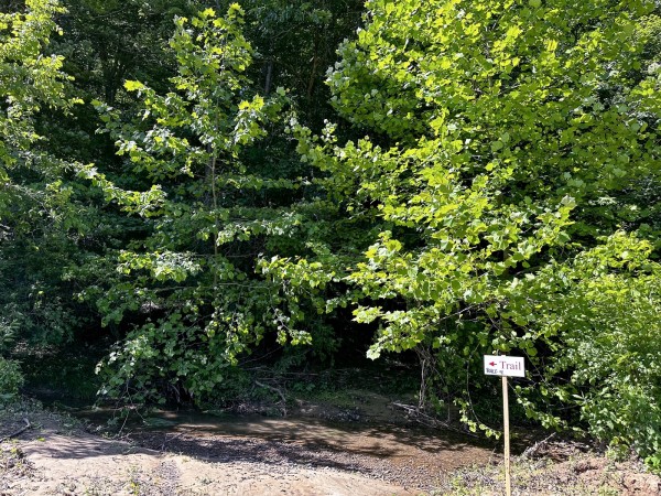 Tract 4 at The Woods on Wayne National Forest property photo