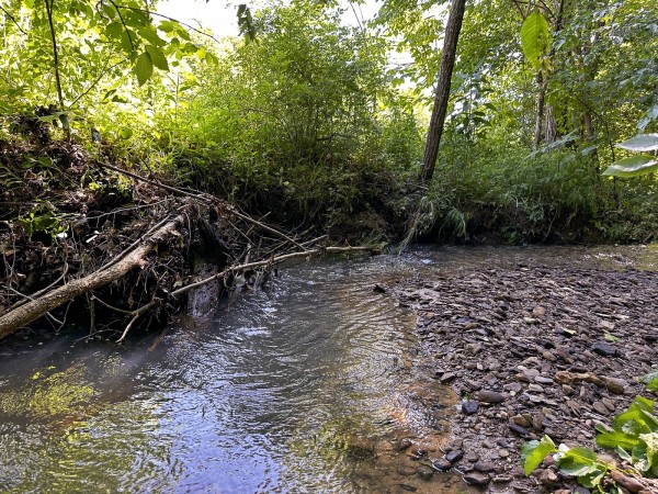 Tract 4 at The Woods on Wayne National Forest property photo