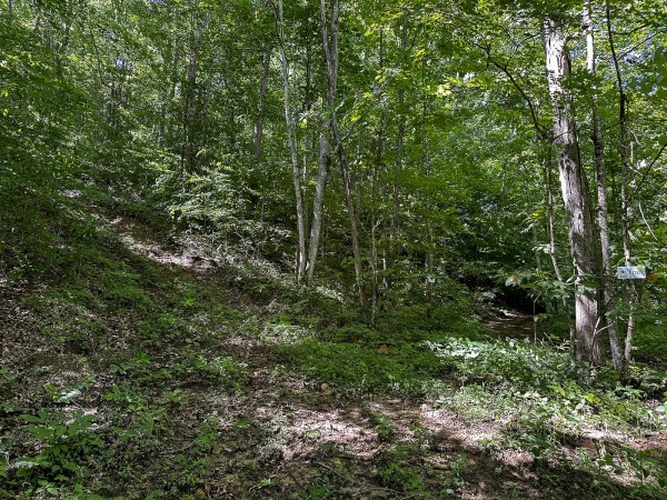 Tract 4 at The Woods on Wayne National Forest property photo