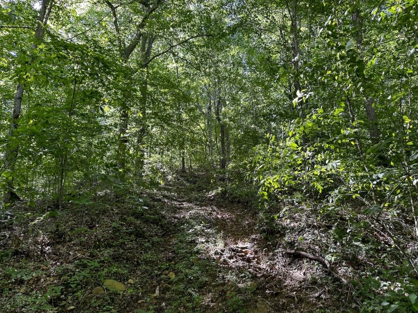 Tract 4 at The Woods on Wayne National Forest property photo